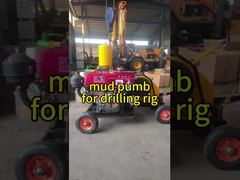 ساعة: ثلاثية الفعل الفردية حفر مضخة الطين الأفقي النوع خفيفة الوزن عملية بسيطة العرض